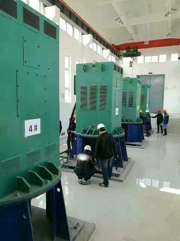 榆林高压电机某污水处理厂使用我厂的立式高压电机安装现场